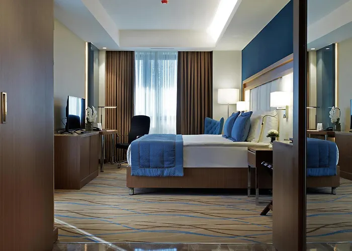 Otel Dedeman Kayseri